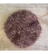 Rubbing sponge long life green cabbage