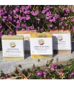 Wellness solid cosmetics kit