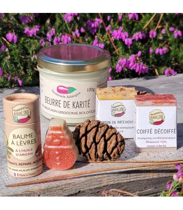 Coffret Noël 2025 - cosmétiques solides - Savonnerie Aubergine