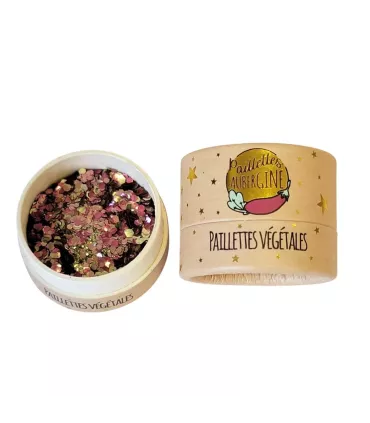 Kit paillettes Forêt enchantée - Paillettes Aubergine
