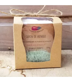 Cleaning kit with ecological soap and reusable green washable sponge