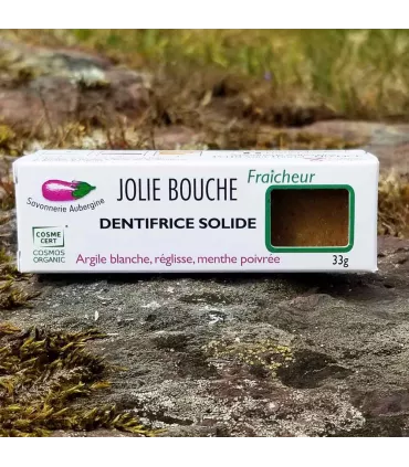 Kit de la voyageuse savon shampoing solide dentifrice solide pochette