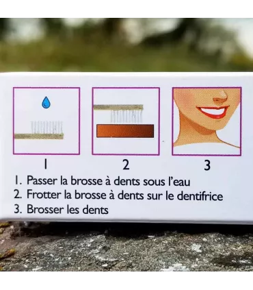 Kit de la voyageuse savon shampoing solide dentifrice solide pochette